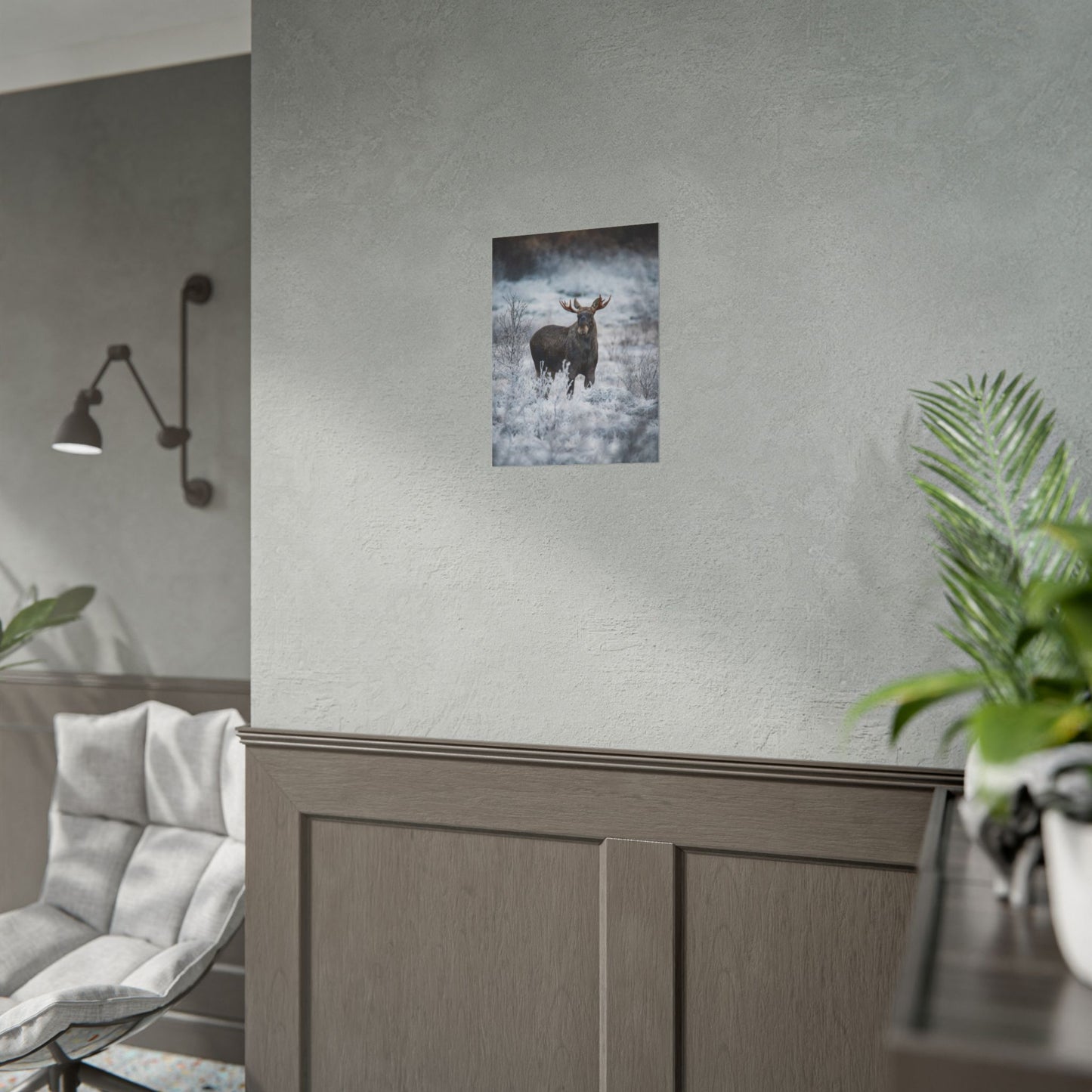 Moose Norway Wildlife