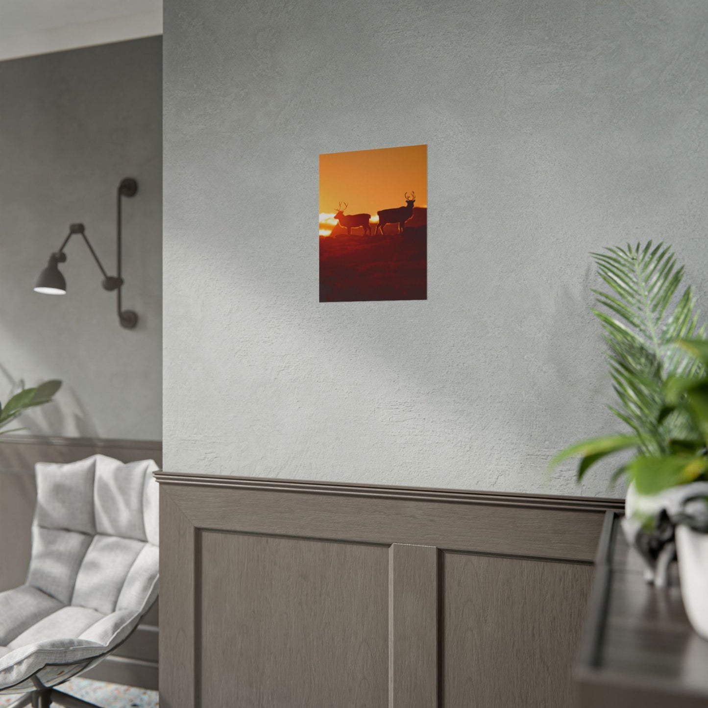 Reindeer Norway Wildlife