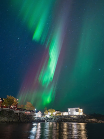 Poster Aurora Norway Lofoten