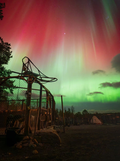 Aurora Poster Sweden